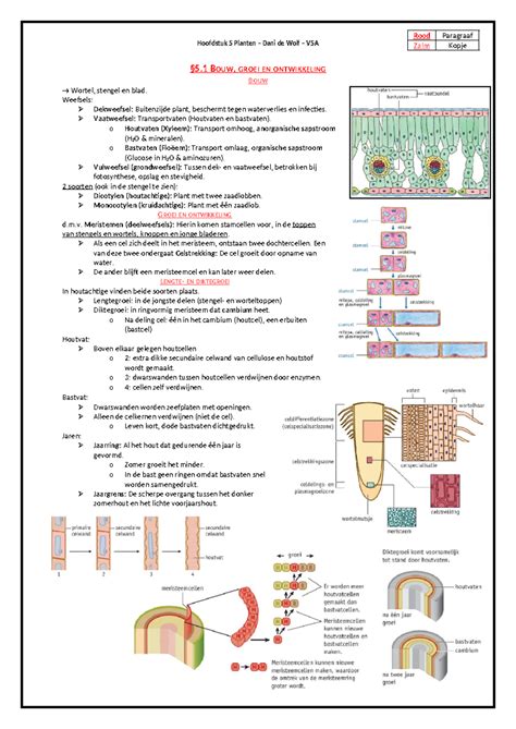 Biol Hs Planten Hoofdstuk Planten Dani De Wolf V A Bouw