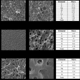 Surface Morphologies And Composition Of AZ91D Alloy Materials After