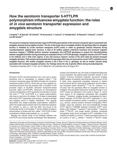 (PDF) How the serotonin transporter 5-HTTLPR polymorphism influences ...