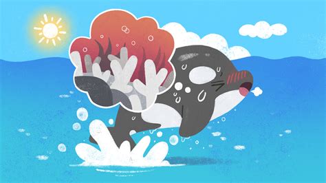 Illustration Of Climate And Environmental Education Behance