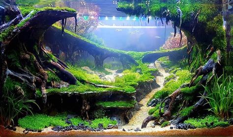 Very Amazing Diorama Aquascape Setup Aquascape Aquarium Aquarium