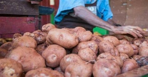 R Gimen Cubano Aumenta El Precio De La Papa Adn Cuba