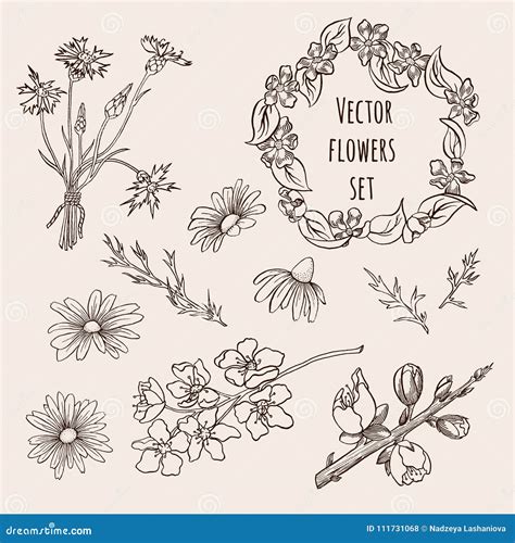 Set Of Hand Drawn Graphic Flowers In Vector Eps8 Stock Vector