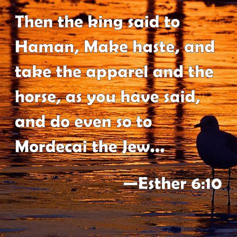 Esther 6 10 Then The King Said To Haman Make Haste And Take The