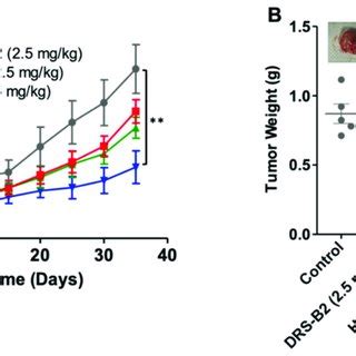 Effect Of DRS B2 And H B2 On Tumor Growth In Vivo Nude Mice Were