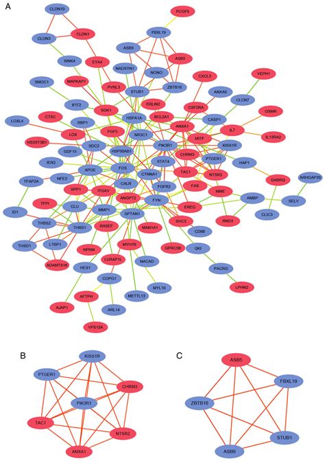 Protein Protein Interaction Network Analysis A A Protein Protein Download Scientific Diagram