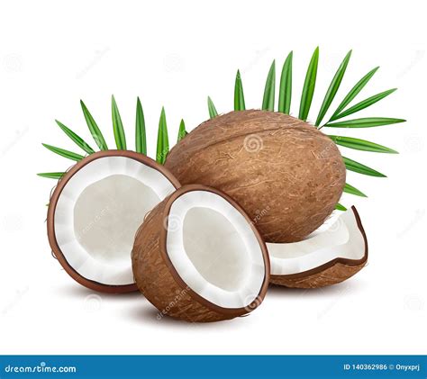 Coco Fruta Abierta Tropical Fresca De Los Cocos Con El Postre Natural