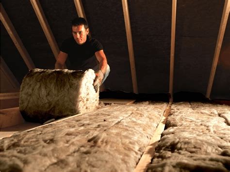 Loft Insulation A Complete Guide Ovo Energy