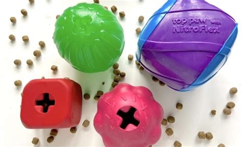 4 Best Treat-Dispensing Balls: In-Depth Reviews & Time Trials!