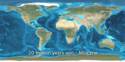 Oligocene Miocene And Pliocene Epoch Timeline Timetoast Timelines