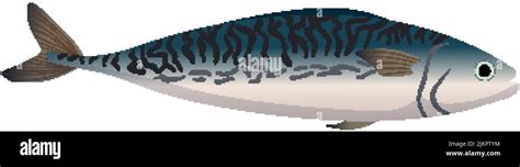 Mackerel Fish Cartoon Vector Illustration Stock Vector Image And Art Alamy