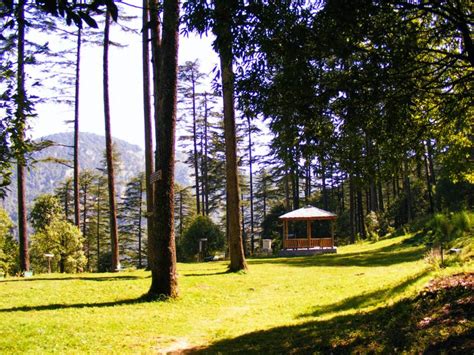 Days Mussoorie Dhanaulti Dehradun Tour Holiday Packages