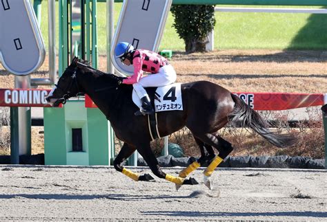 水沼元輝が32戦目で障害初v 乗り替わりエンデュミオンで「今年中に勝ちたいと」／中山4r 競馬写真ニュース 日刊スポーツ