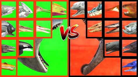 AQUATIC TOURNAMENT Mosasaurus ARK VS Megalodon VS Helicoprion VS