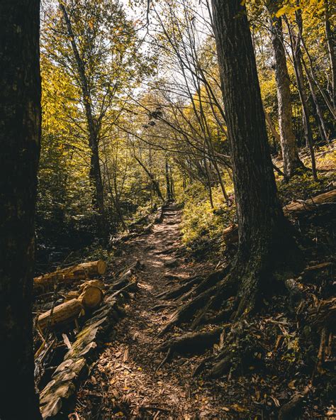 Dark Hollow Falls in Shenandoah National Park (Photos and Tips)