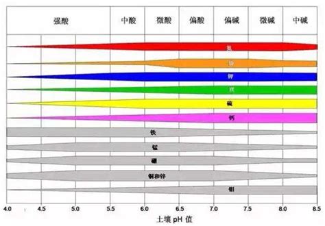 深度剖析酸碱度对不同作物的影响土壤