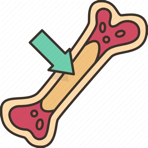 Bone Marrow Tissue Stem Cells Icon Download On Iconfinder