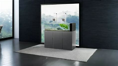 🐠 Why a 100-Gallon Fish Tank Is the Ultimate Choice for Aquatic ...