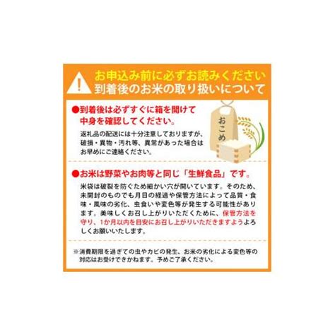 ふるさと納税 山形県 河北町 【令和6年産米】※2025年2月中旬スタート※ はえぬき60kg（10kg×6ヶ月）定期便 山形県産 【jaさが