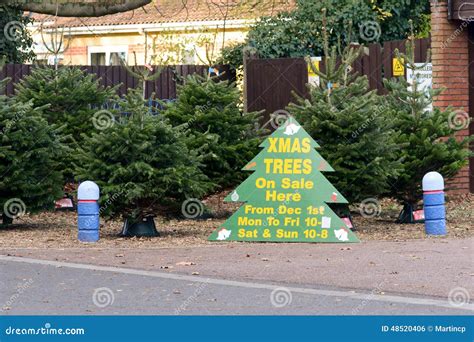 Christmas Trees For Sale Sign Stock Photo Image Of Sign Function