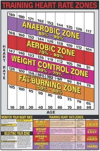 Training Heart Rate Zones Professional Cardio Fitness Wall Chart Poster ...