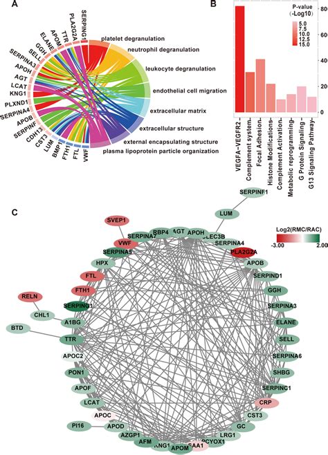 Functional Analysis Of Deps Between Mc And Ac Serum Derived Evs Ac