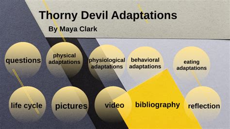 thorny devil adaptations by maya clark