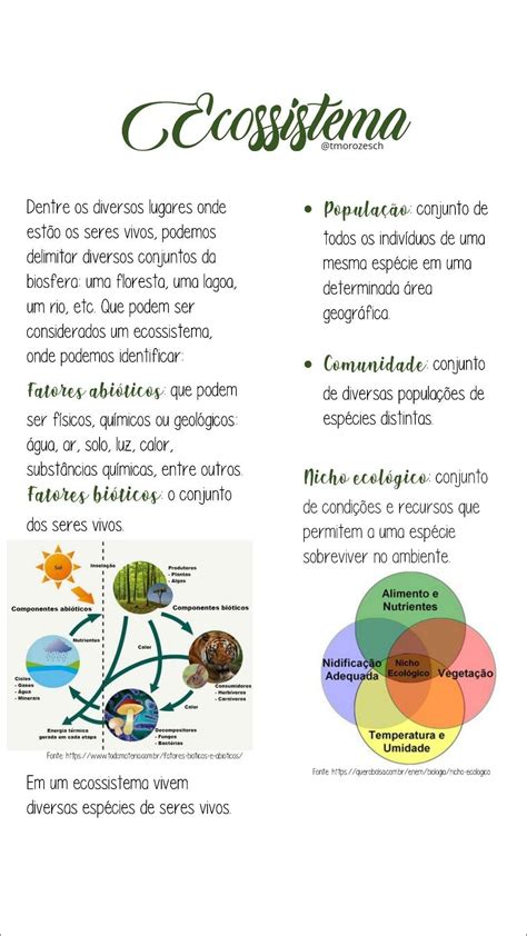 Mapas Mentais Sobre Ecossistema Study Maps