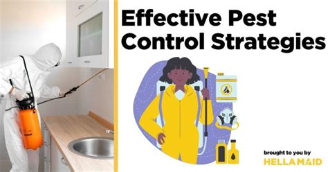 Effective Cleaning Strategies For Pest Control