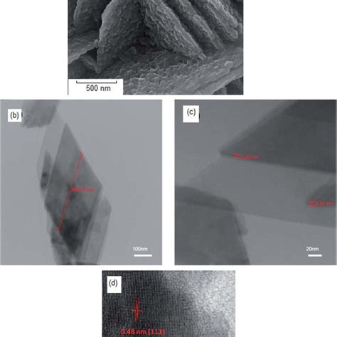 FESEM Micrographs Of NiFe 2 O 4 Prepared In Various Reductant Nitrate