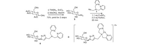 Scheme 2 Synthetic Pathway For The Preparation Of Glycoconjugate 6