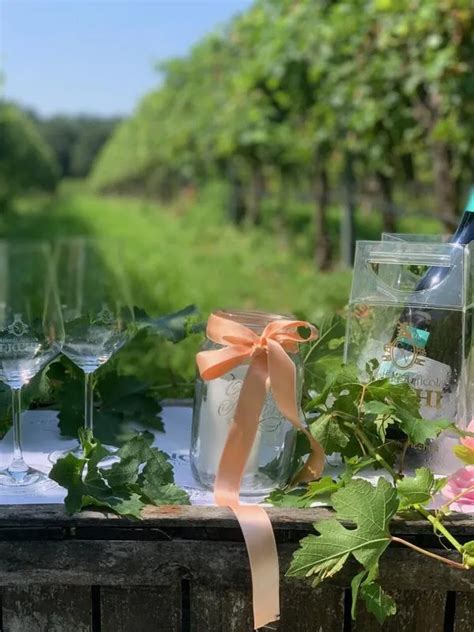 I 20 Migliori Picnic In Vigna In Italia Holidoit