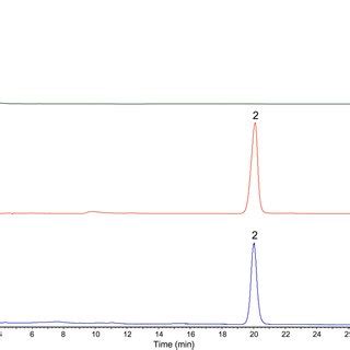 Sds Page Analysis And Enzyme Activity Of Bvdr And Mbvdr A Sds Page