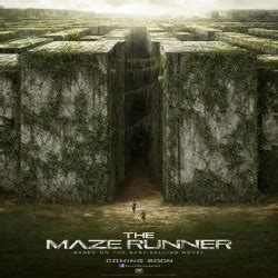 maze-runner-walls - Lynnwood Today