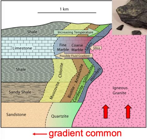 Metamorphic Rocks Flashcards Quizlet