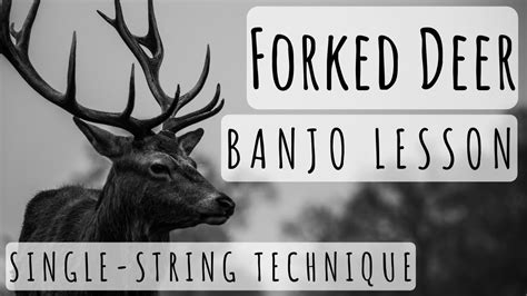 Forked Deer Banjo Lesson Youtube