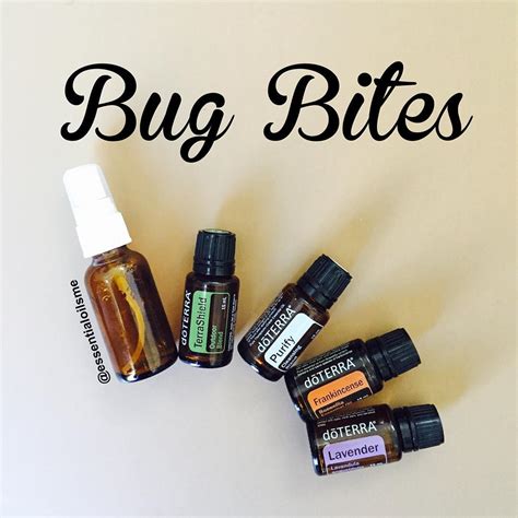 Top 4 Essential Oils For Different Types Bug Bites