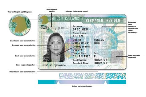 Fabulous Info About How To Spot Fake Green Card Settingprint