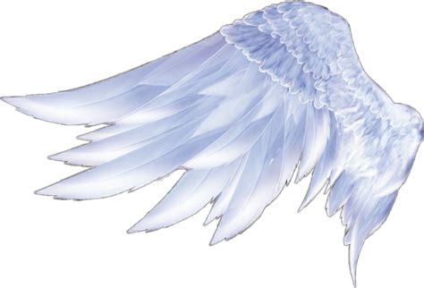 Closed Angel Wings Clip Art Angel Wings Drawing Png Transparent ...