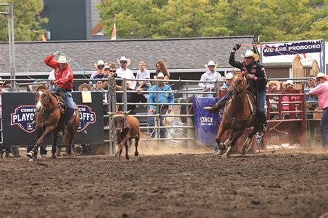 The Prca Playoff Series Whats That The Team Roping Journal