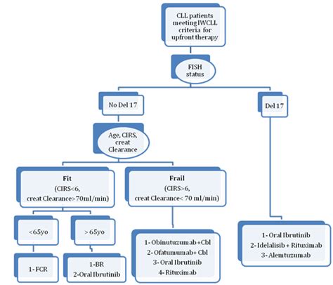 Chronic lymphocytic leukemia (CLL): upfront treatment options in 2017 ...