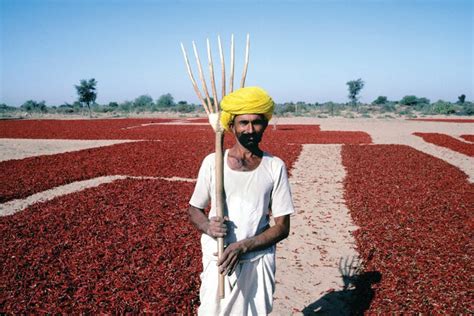 Five ways India must help its farmers face the threat of climate change ...