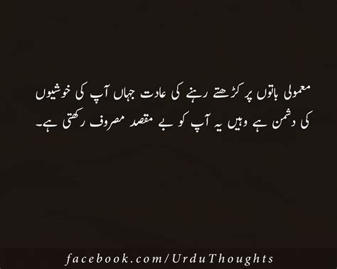 10 Urdu Quotes Images About Zindagi Success And People Urdu Thoughts