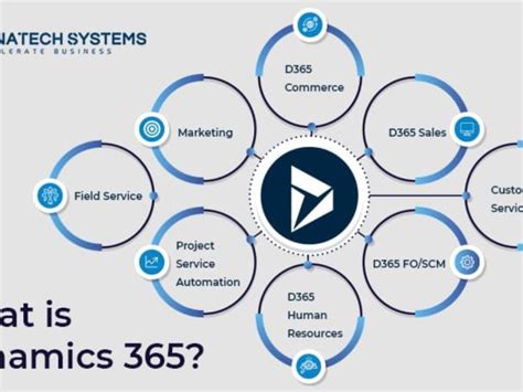 Exploring The Power Of Microsoft Dynamics 365 A Comprehensive Overview