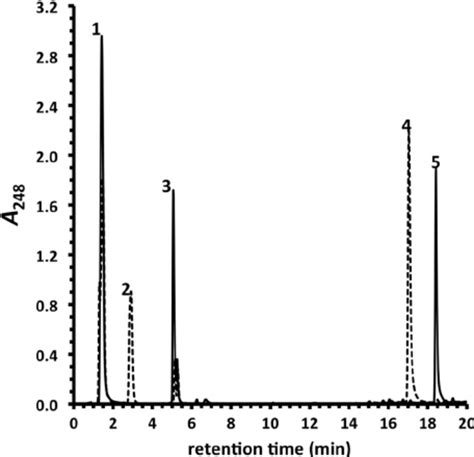 Transformation Of Bnc To Bnc Coa By Casi Hplc Chromato Grams Are