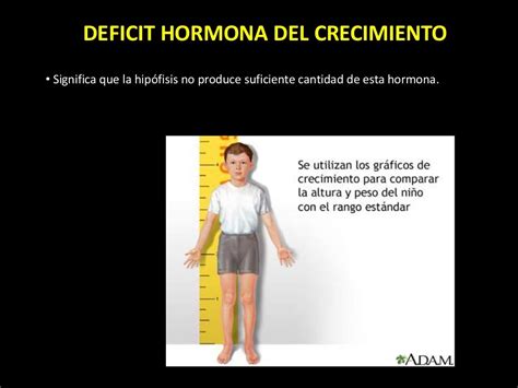 Hormona de crecimiento