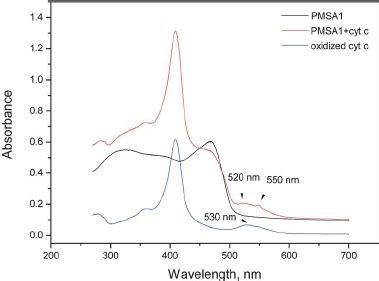 CVs Of Cyt C In Solution Measured With The Polymer Coated Electrodes