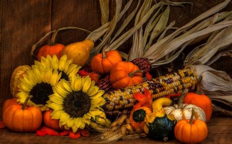 Photography Still Life Photography Fall Pumpkin Gourd Sunflower Wheat ...