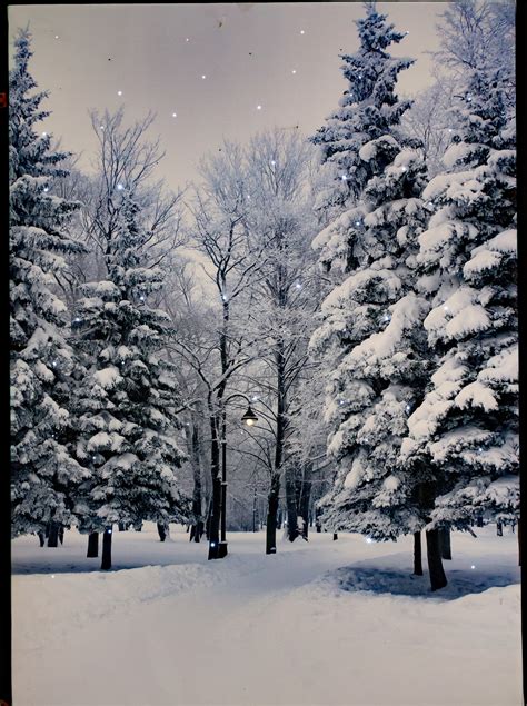 Lighted LED Winter Scene Picture