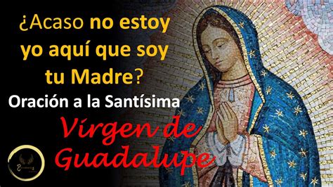 Oraci N Para Dar Gracias Y Consagrarse A La Virgen De Guadalupe En Su